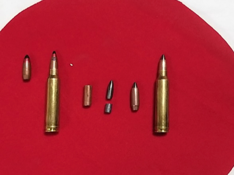 Test cartridges disassembled showing tungsten carbide cores and jackets